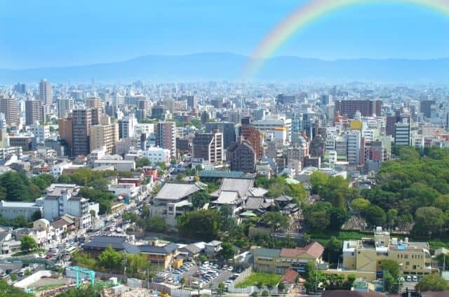 オオバ(9765)の株主優待は?配当金や優待利回り、到着時期など解説